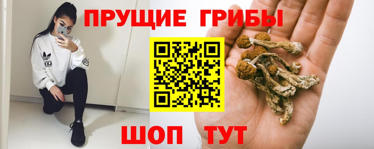 Кострома  Псилоцибиновые грибы Magic Shrooms  Вход с VPN 